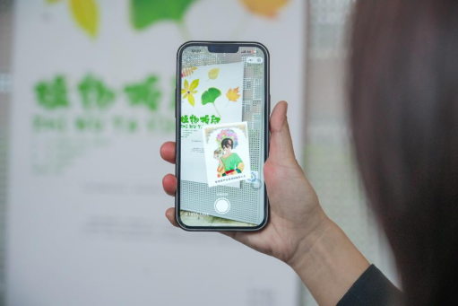 图片